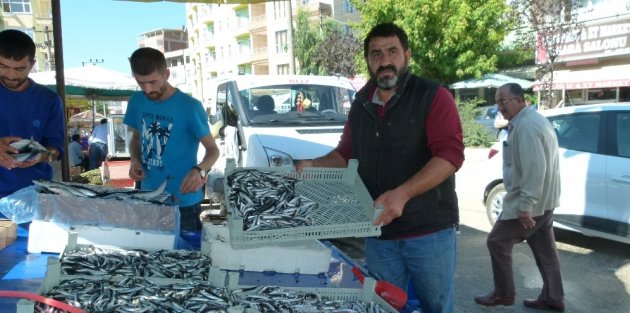 BAFRA’DA HAMSİ 5 LİRA’DAN SATILIYOR