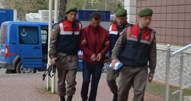 Bafra'da Hayvan Hırsızlığı