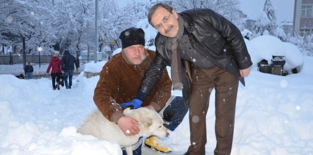 BAŞKAN ŞAHİN, SOKAK HAYVANLARINI UNUTMADI