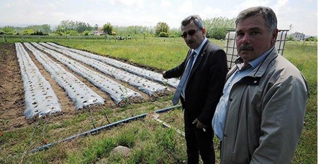 DESTEK BÜYÜKŞEHİRDEN MARKA ÇİFTÇİDEN