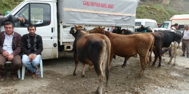 HAYVAN PAZARINDA ‘KURBAN’ HAREKETLİLİĞİ