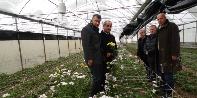 KAYMAKAM ARSLAN KARADENİZ BÖLGESİNİN EN BÜYÜK BLOK ÇİÇEK SERASINI GEZDİ