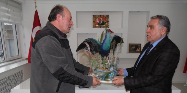 ‘KESİNLİKLE DOĞADAKİ HAYVANLARA ZARAR VERMEYİN’