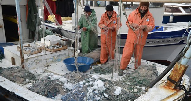 Kıyı Balıkçılarının Hamsi Sevinci