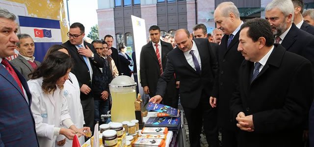 Ordu “Bal Festivali“ Başladı