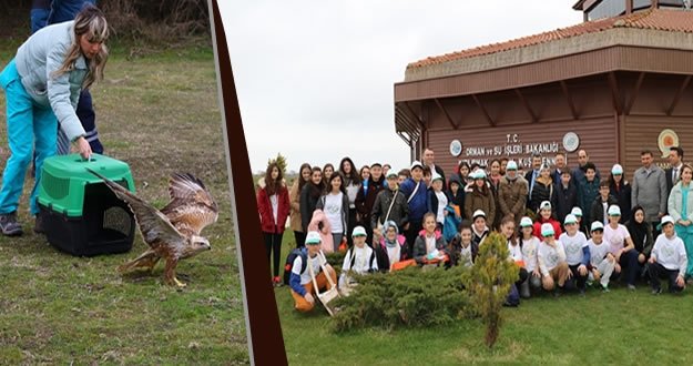 TEDAVİSİ BİTEN KIZIL ŞAHİN DOĞAYA SALINDI