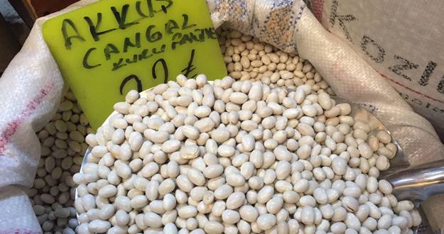 Tescilli fasulyede 300 ton rekolte bekleniyor