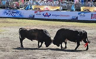 37. Kafkasör Kültür, Turizm ve Sanat Festivali