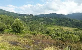 Abana'da örtü yangını