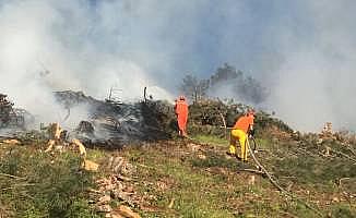 Bolu'da örtü yangını