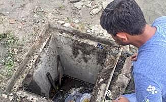 Düzce'de foseptik çukuruna düşen köpek kurtarıldı