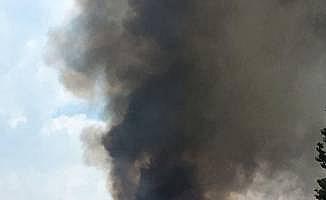 Tokat'ta çatı yangını