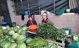 Batı Karadeniz'de yerli karpuz üretimi