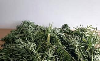 Düzce'de uyuşturucu operasyonları