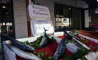 Karadeniz'de palamut bereketi