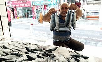 Sezonun ilk palamutları tezgahlardaki yerini aldı