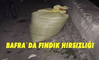 Bafra`da hırsızlık
