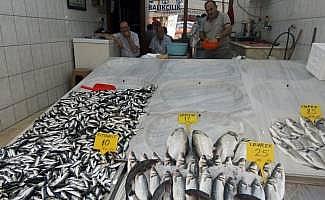 Balıkçıların palamut umudu tükeniyor