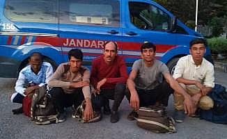 Karabük'te 5 kaçak yakalandı