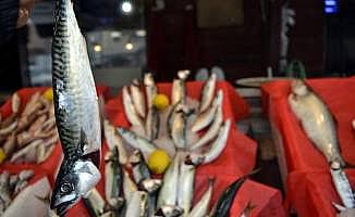 Karadeniz'in 30 yıllık 