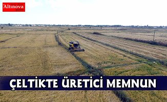 Çeltikte verim ve fiyat üreticisinin yüzünü güldürüyor