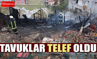 Samsun'da kümes yangını