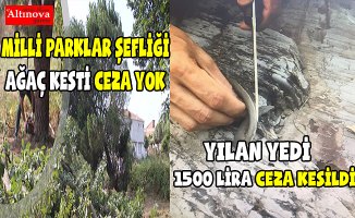 Yılan yiyerek paylaşana bin 500 Türk lirası ceza