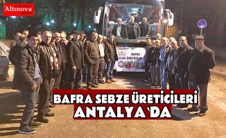 Bafra Sebze Üreticileri Antalya'da