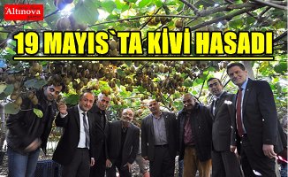 TARIM CENNETİNDE KİVİ HASADI
