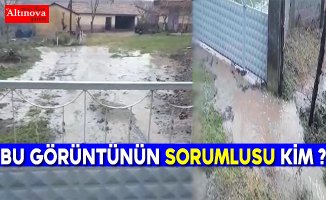 Bu görüntünün sorumlusu kim?