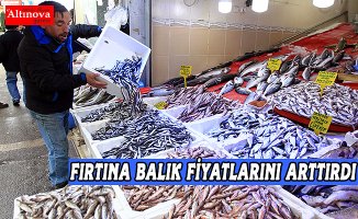 Karadeniz'de fırtına balık fiyatlarını artırdı