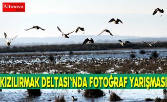 Kızılırmak Deltası'nda fotoğraf yarışması