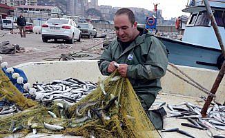 Karadenizli balıkçıların kefal sevinci