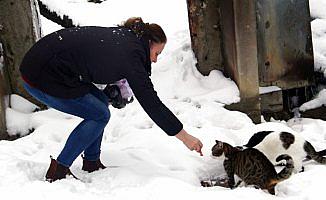 Yangın yaşlı çift ve kedilerini yuvalarından etti