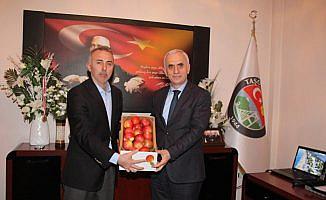 AK Parti Genel Başkan Yardımcısı Kaya'dan ziyaret