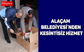 ALAÇAM BELEDİYESİ`NDEN KESİNTİSİZ HİZMET