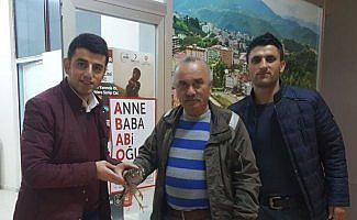 Giresun'da yaralı atmaca tedavi altında alındı