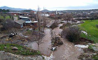 MPS hastası öğrencinin Beşiktaş hayali gerçek oldu