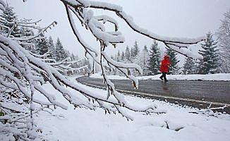 Yaylalardaki kar yağışı fotoğrafçıların ilgi odağı