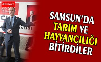 AKCAGÖZ: “SAMSUN’DA TARIM VE HAYVANCILIĞI BİTİRDİLER”