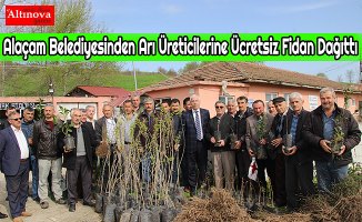 Alaçam Belediyesinden Arı Üreticilerine Ücretsiz Fidan Dağıttı