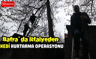 BAFRA`DA KEDİ KURTARMA OPERASYONU