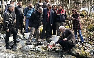 Fırtına Deresi'ne 230 bin yavru alabalık bırakıldı