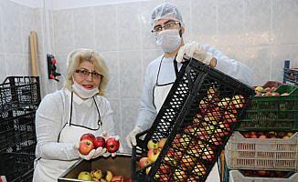 Kadın girişimci KOSGEB desteğiyle sirke ve pekmez ihracatçısı oldu