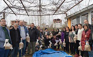 Ordu'da mantar yetiştiriciliği kursu