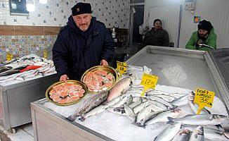 Yunus korkusu balık tezgahlarını boş bıraktı
