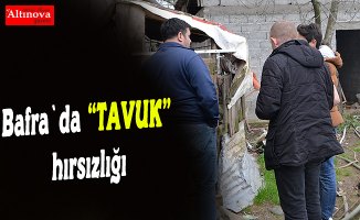 Bafra Tavuk hırsızlığı