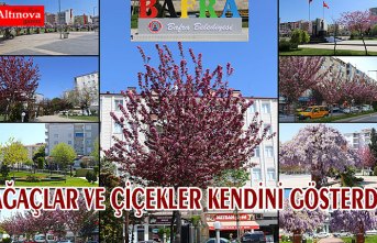 BAFRA’DA DİKİLEN FİDANLAR, AĞAÇLAR VE ÇİÇEKLER KENDİNİ GÖSTERDİ