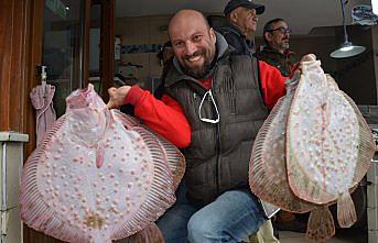 Balıkçıların yüzü kalkan balığıyla güldü