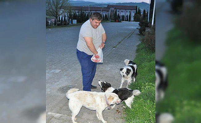 Bartın'da köpeğe tekme atan kişi özür diledi